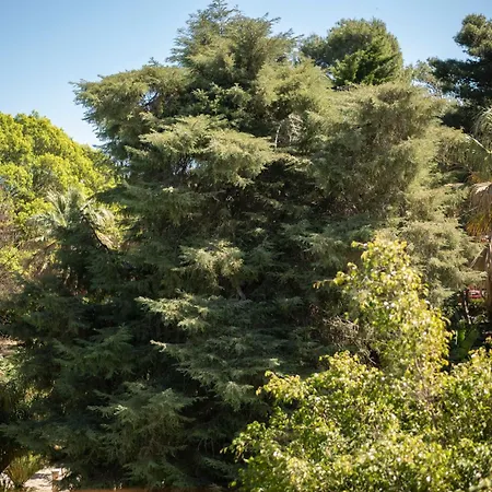 호텔 Parco Delle Fontane